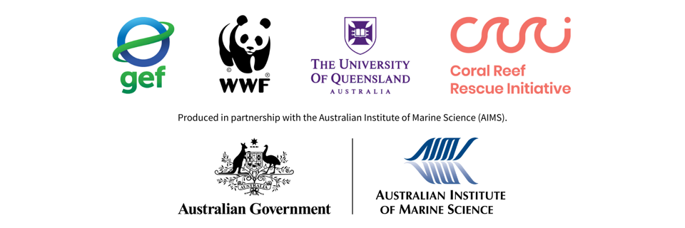 logo banner AIMS